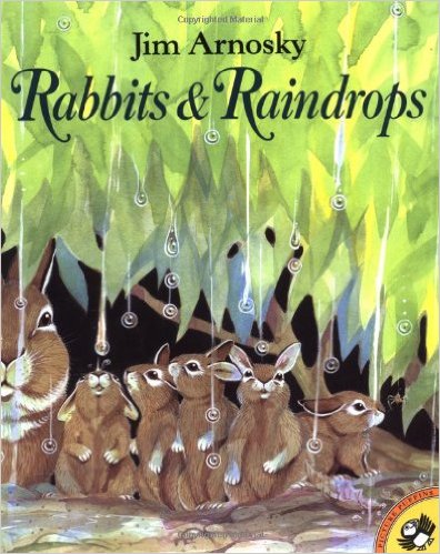 Rabbits and Raindrops